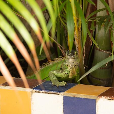 Casa Mazunte Tierra Viva Hotel Kültér fotó